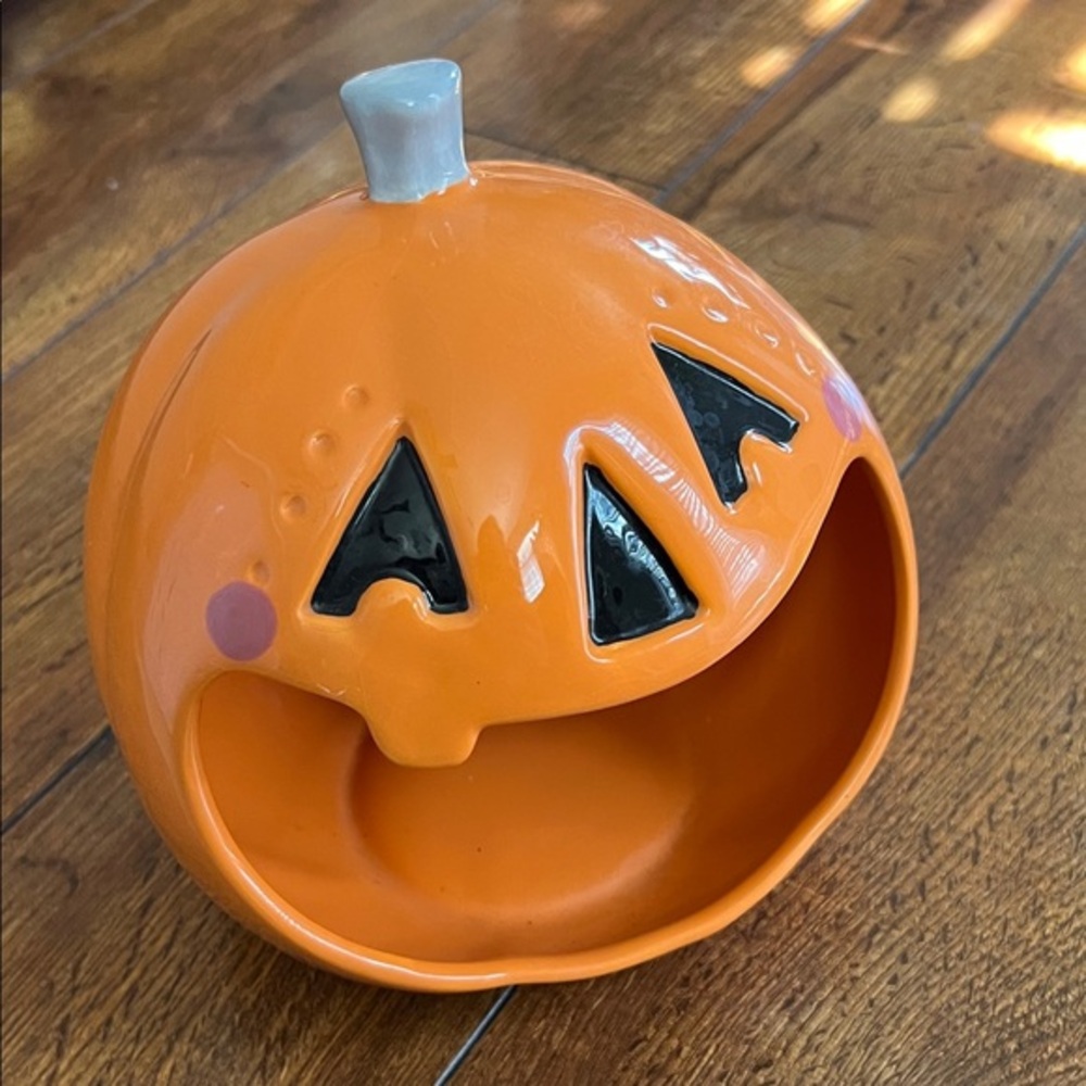 Candy bowl or Sink Sponge